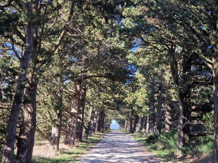 Image No.2-House for sale