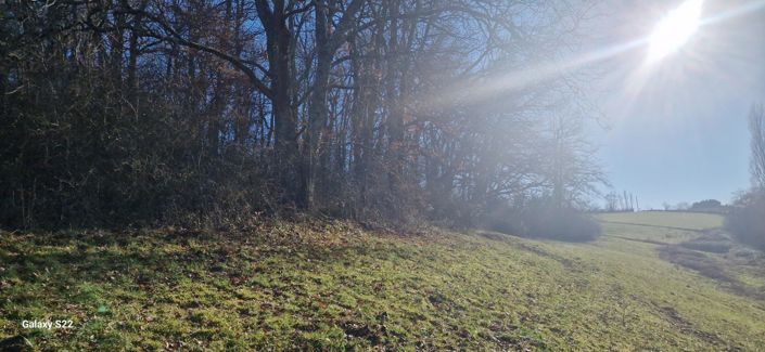 Image No.2-1 Bed House for sale