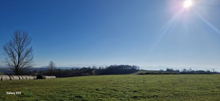 Image No.4-1 Bed House for sale