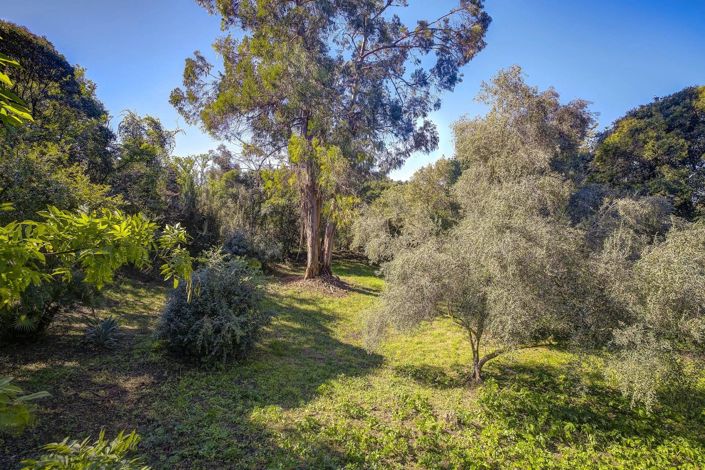 Image No.7-Maison de 4 chambres à vendre à Mougins