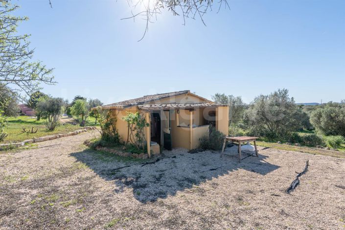 Image No.42-4 Bed House for sale