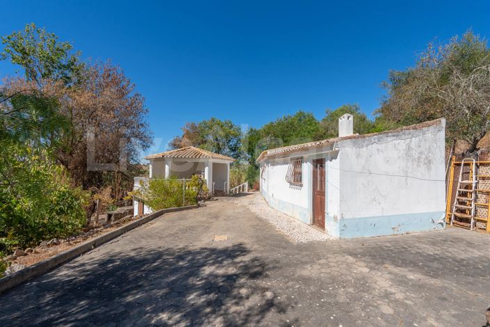 Image No.19-4 Bed House for sale