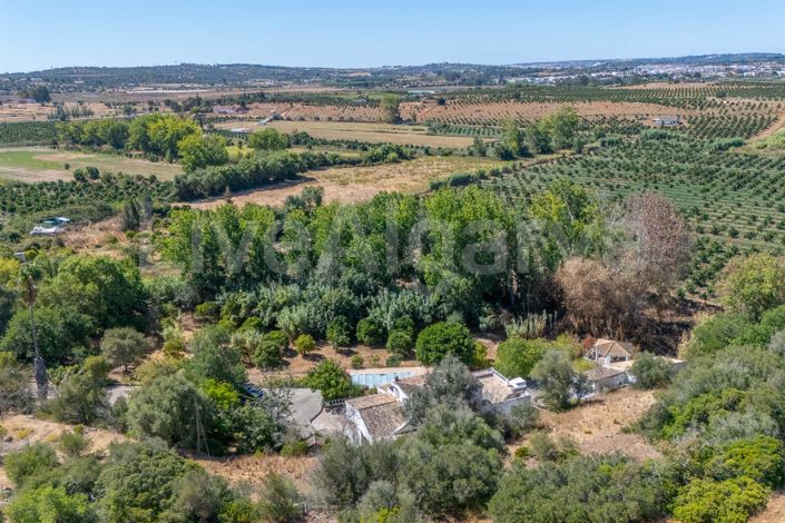 Image No.31-4 Bed House for sale