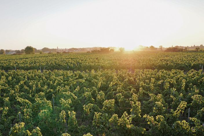 Image No.1-Maison à vendre à Saint-Emilion