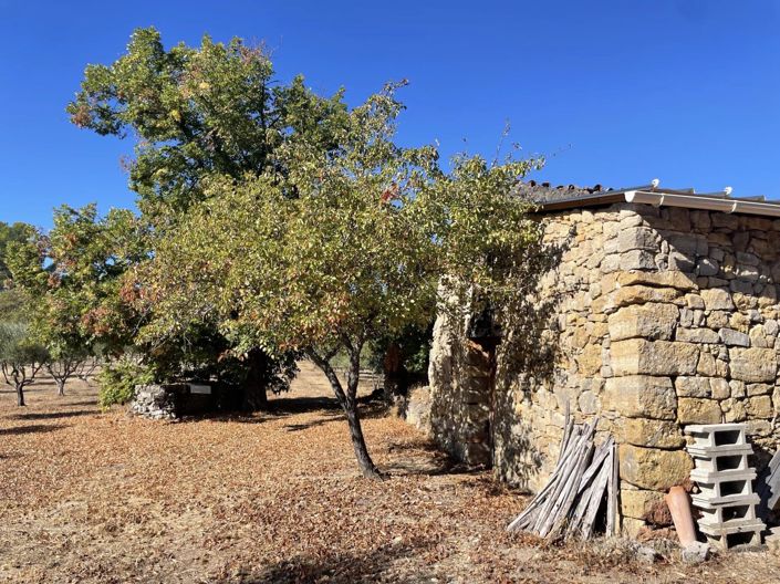 Image No.6-House for sale