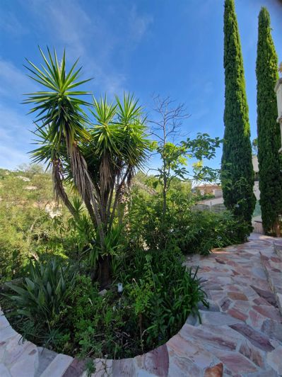 Image No.12-3 Bed House for sale