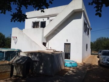1 - Loule, House