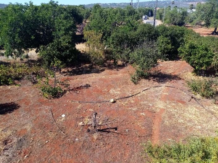 Image No.26-5 Bed House for sale