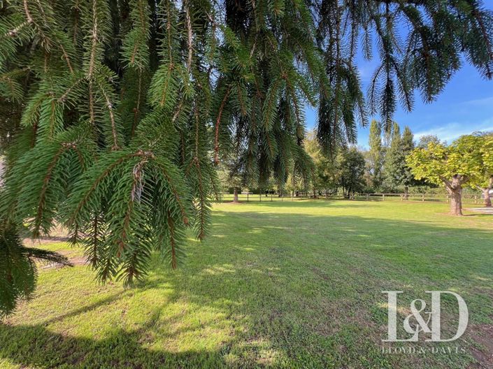 Image No.5-House for sale