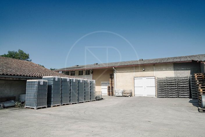 Image No.16-Propriété de 6 chambres à vendre à Saint-Emilion