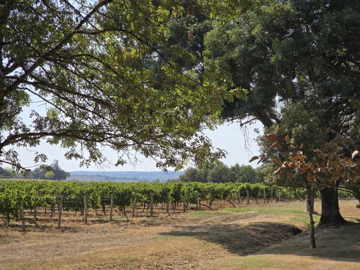 Image No.28-5 Bed House for sale