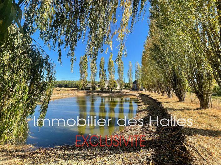 La Selle-Guerchaise, House