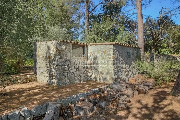 Image No.3-Maison à vendre à Grasse