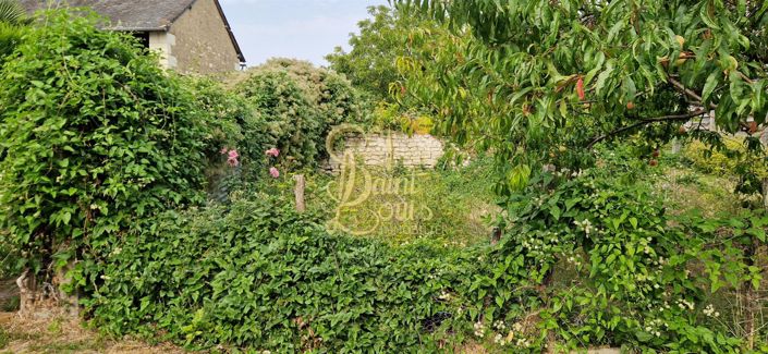 Image No.10-Maison à vendre à Faye-la-Vineuse