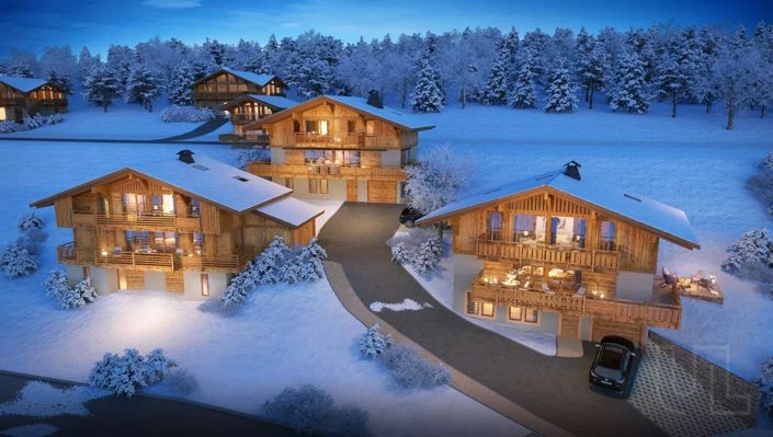 Image No.2-Maison de 5 chambres à vendre à Praz-sur-Arly