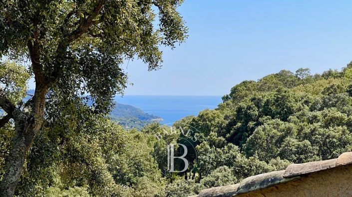 Image No.11-Maison de 5 chambres à vendre à La Croix-Valmer