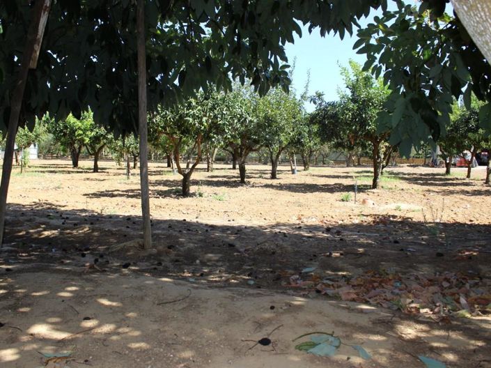 Image No.33-Maison de 4 chambres à vendre à Tavira