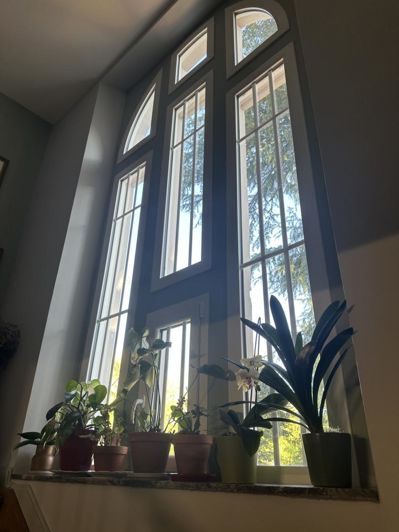 Image No.15-4 Bed House for sale