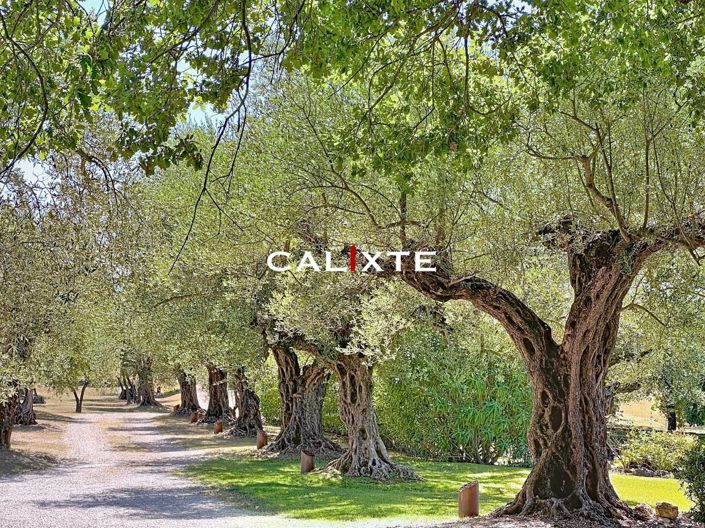 Image No.7-Propriété de 4 chambres à vendre à Tourrettes