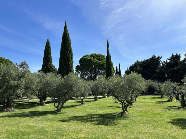 Image No.4-Maison de 4 chambres à vendre à Rognonas