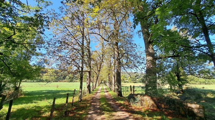 Image No.28-Propriété de 14 chambres à vendre à Lot