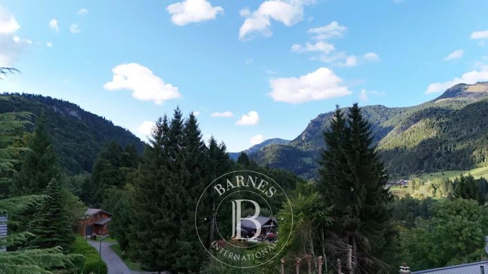 Image No.20-Maison de 4 chambres à vendre à Essert-Romand