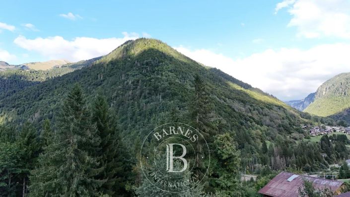 Image No.21-Maison de 4 chambres à vendre à Essert-Romand