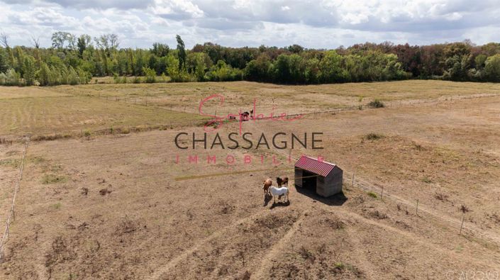 Image No.5-Maison de 4 chambres à vendre à Libourne