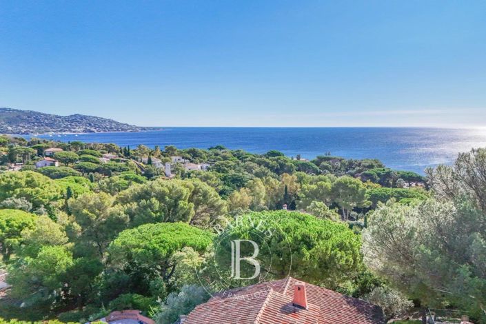 Image No.2-8 Bed House for sale