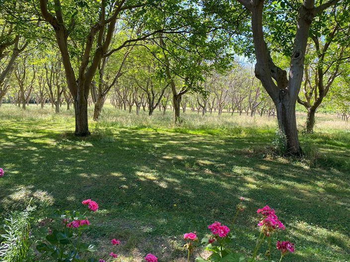 Image No.18-3 Bed House for sale