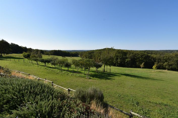 Image No.3-4 Bed House for sale