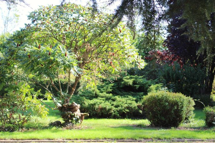 Image No.5-15 Bed House for sale