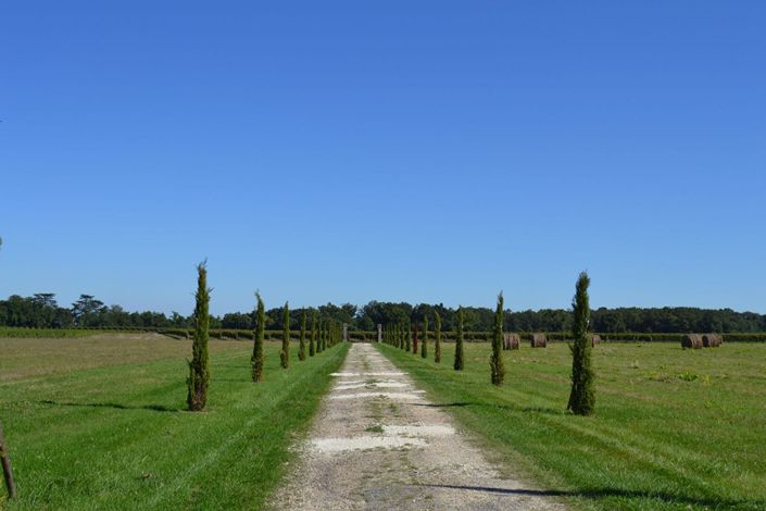 Image No.2-House for sale