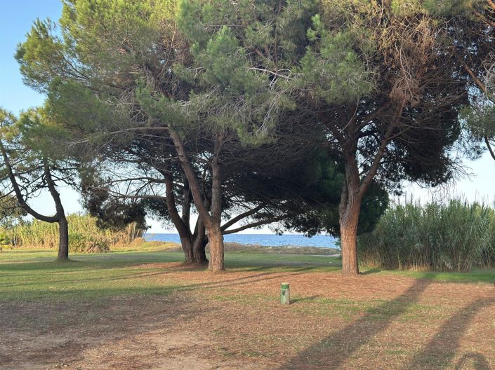 Image No.7-Appartement de 1 chambre à vendre à Poggio-Mezzana