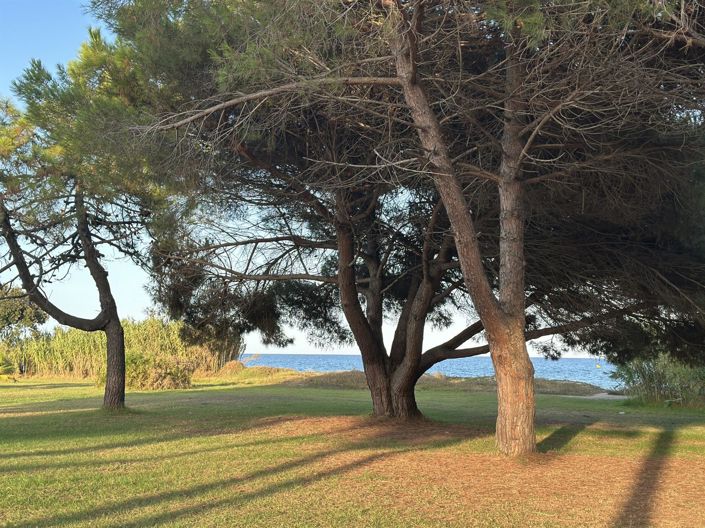 Image No.8-Appartement de 1 chambre à vendre à Poggio-Mezzana