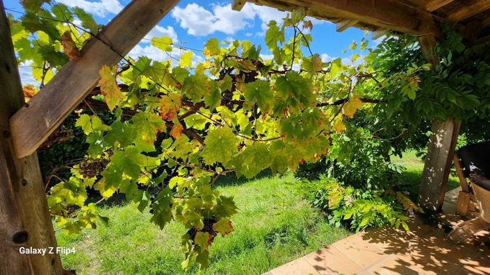 Image No.42-7 Bed House for sale