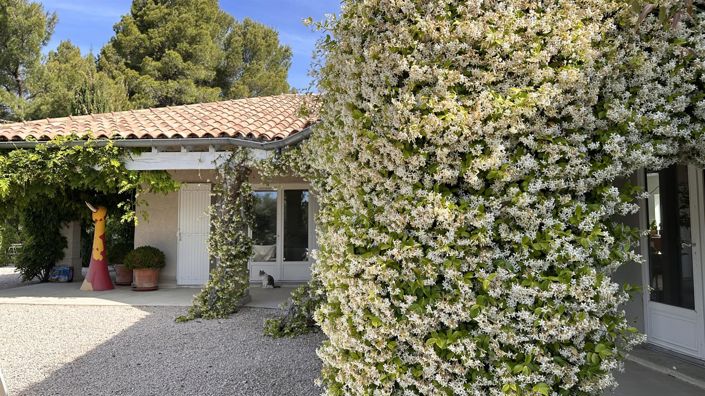 Image No.3-2 Bed House for sale