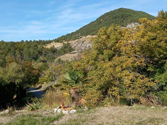 Image No.49-2 Bed House for sale