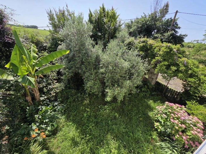 Image No.17-2 Bed House for sale