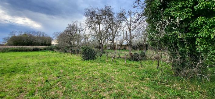 Image No.42-Maison de 3 chambres à vendre à Bordeaux