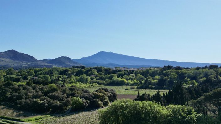 Image No.4-5 Bed House for sale