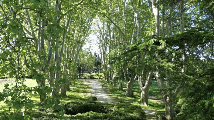 Image No.7-5 Bed House for sale