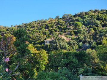 1 - Le Lavandou, Maison