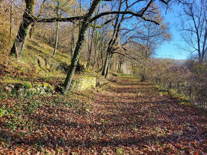 Image No.10-6 Bed House for sale