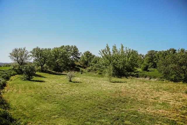 Image No.10-11 Bed House for sale