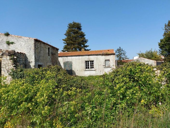 Image No.1-House for sale