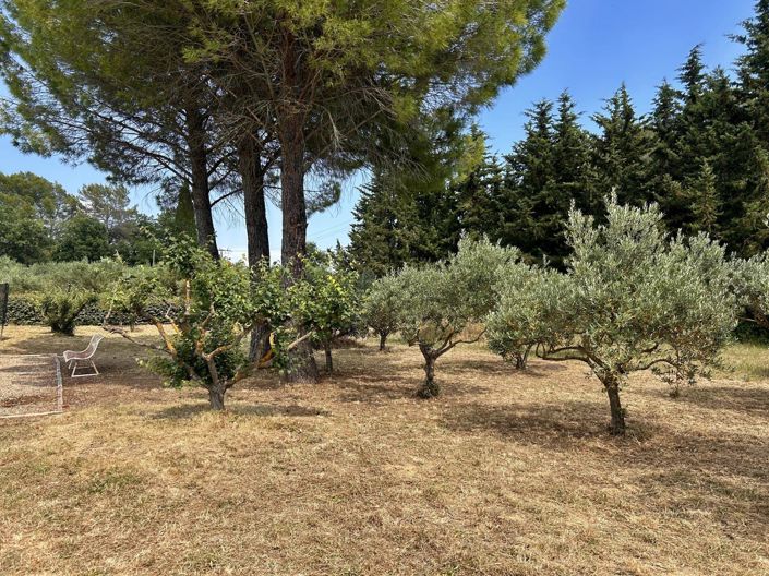 Image No.25-4 Bed House for sale