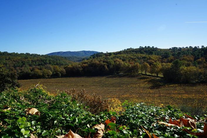 Image No.31-6 Bed House for sale