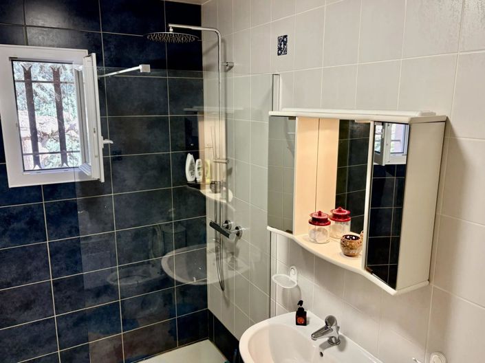 Image No.28-4 Bed House for sale