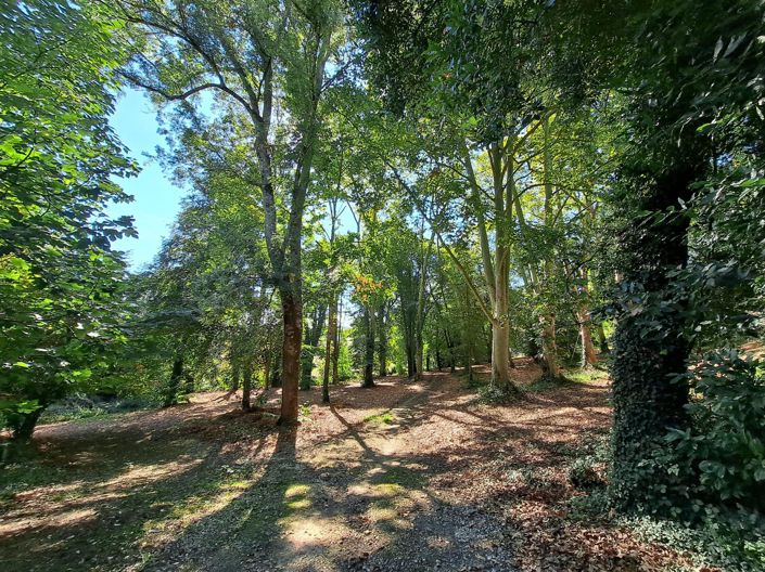 Image No.28-Propriété de 6 chambres à vendre à Condom